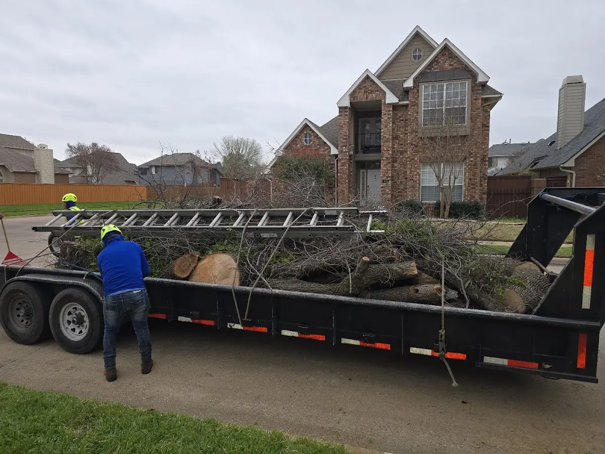 Expert Tree Removal with proper safety equipment in Strong City